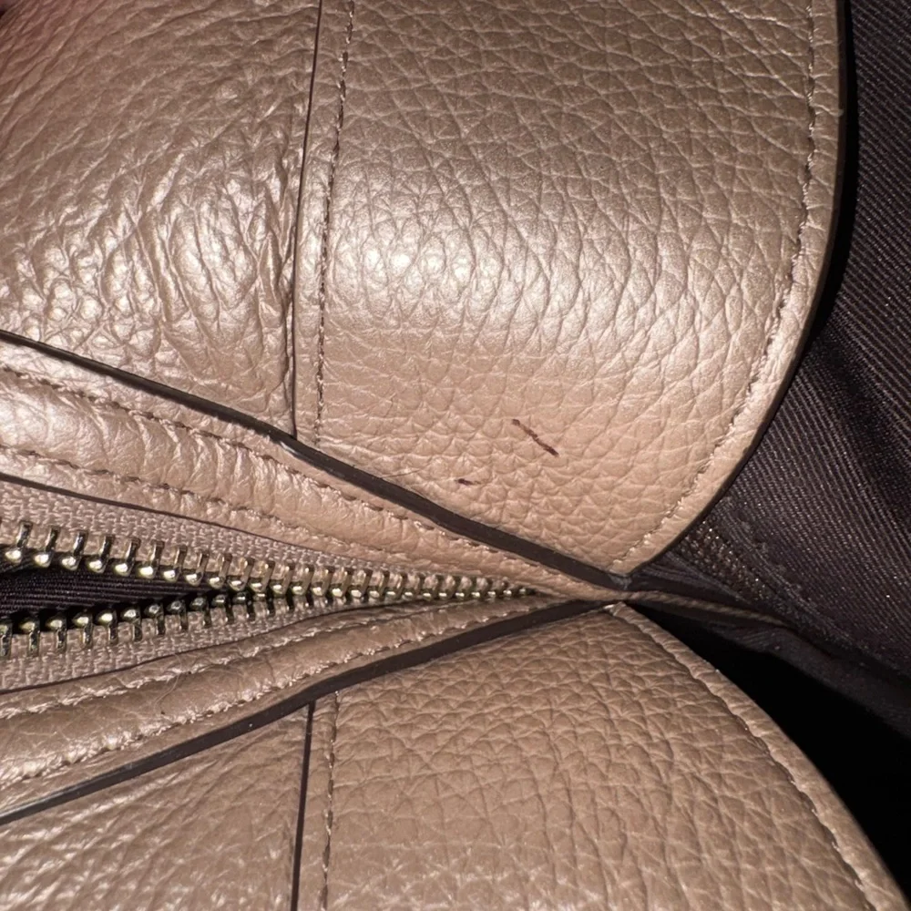Coach Lexy Leather Shoulder Bag with Chain in Metallic Champagne
